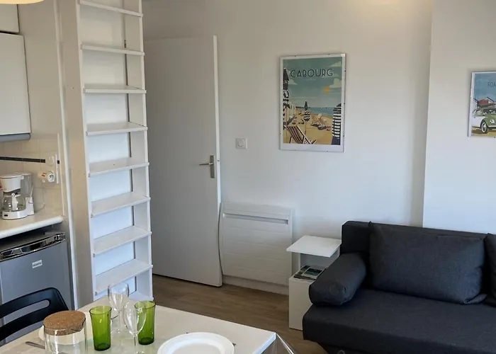 Appartement 2 Pieces En Bord De Mer Avec Acces Direct A La Plage De Cabourg, Proche Thalassotherapie - Fr-1-487-336